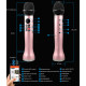 Wireless microphone