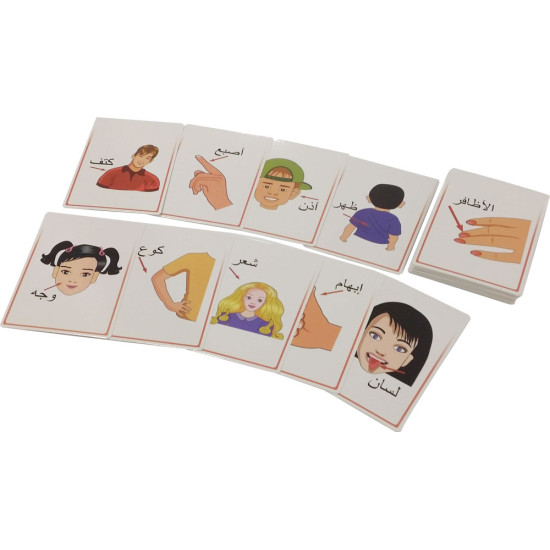 مجموعة الكروت التعليمية مجموعة الكروت التعليمية